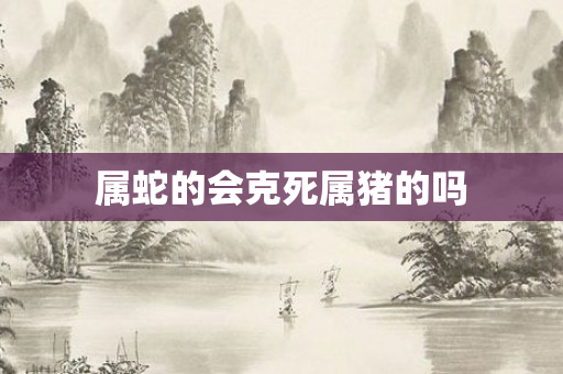 属蛇的会克死属猪的吗