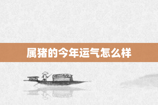 属猪的今年运气怎么样