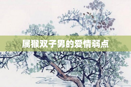 属猴双子男的爱情弱点