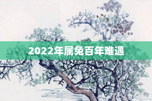 2022年属兔百年难遇