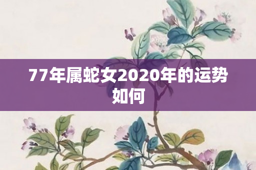 77年属蛇女2020年的运势如何