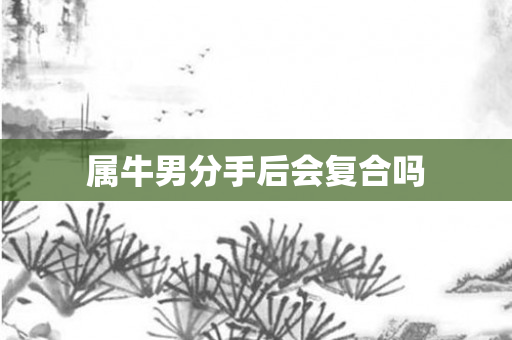 属牛男分手后会复合吗