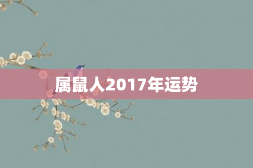属鼠人2017年运势