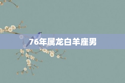 76年属龙白羊座男
