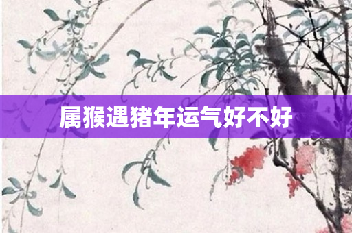 属猴遇猪年运气好不好