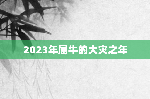 2023年属牛的大灾之年