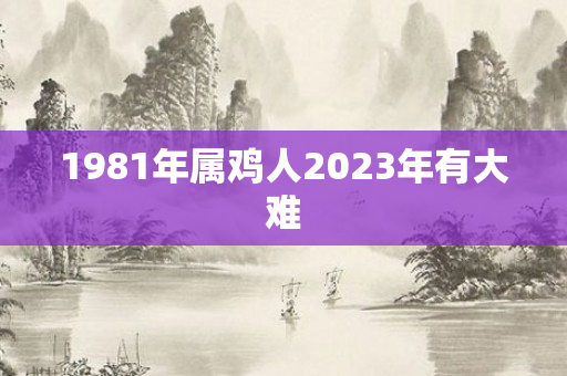 1981年属鸡人2023年有大难