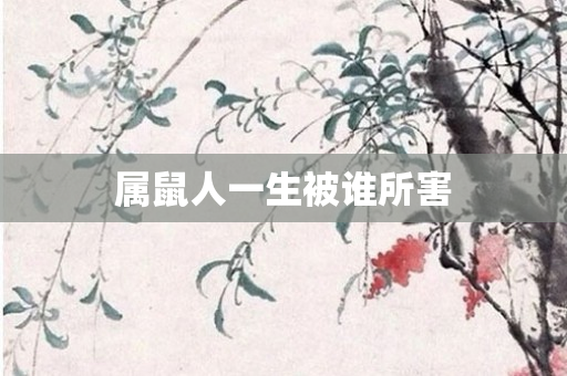 属鼠人一生被谁所害