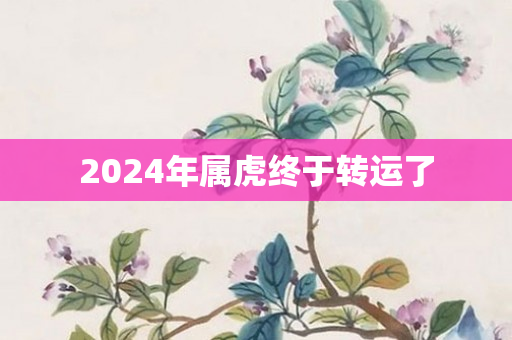 2024年属虎终于转运了