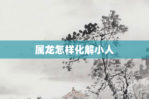 属龙怎样化解小人