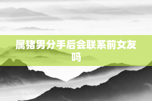 属猪男分手后会联系前女友吗