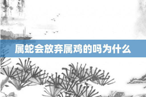 属蛇会放弃属鸡的吗为什么
