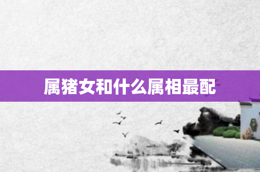 属猪女和什么属相最配