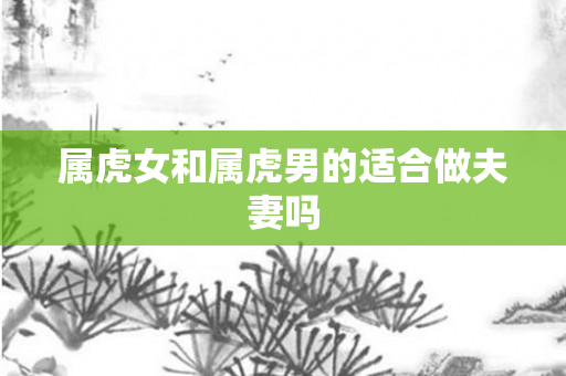 属虎女和属虎男的适合做夫妻吗