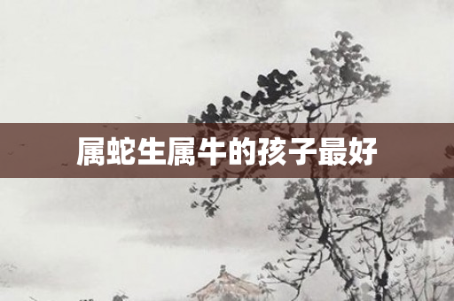 属蛇生属牛的孩子更好