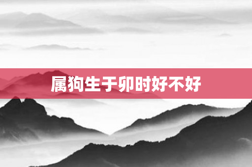 属狗生于卯时好不好