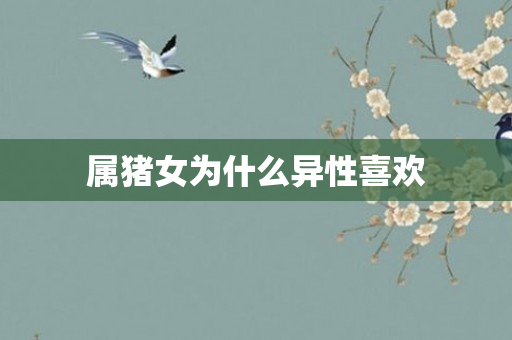 属猪女为什么异性喜欢