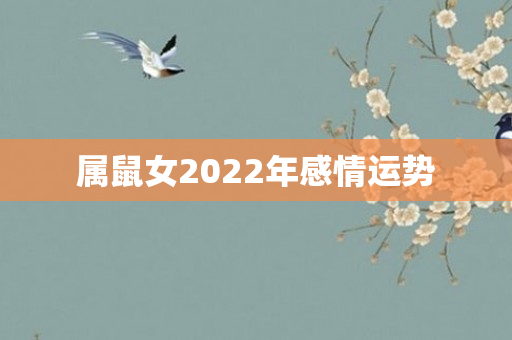 属鼠女2022年感情运势