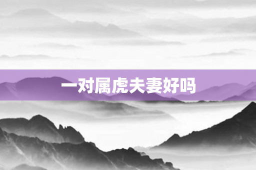 一对属虎夫妻好吗