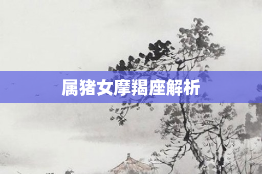 属猪女摩羯座解析