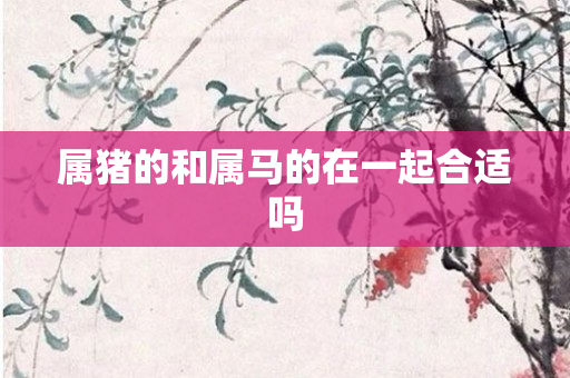 属猪的和属马的在一起合适吗