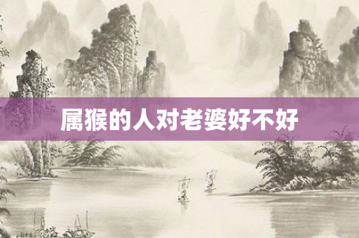 属猴的人对老婆好不好