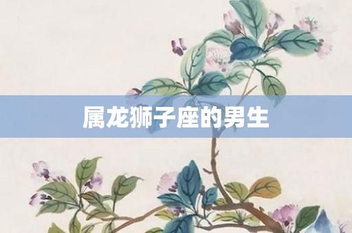 属龙狮子座的男生