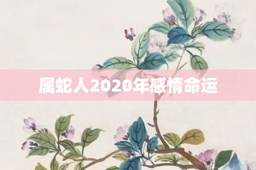 属蛇人2020年感情命运