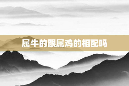 属牛的跟属鸡的相配吗