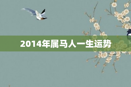 2014年属马人一生运势