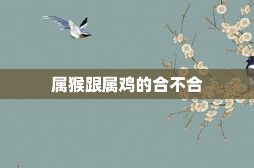 属猴跟属鸡的合不合
