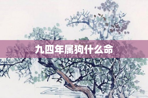 九四年属狗什么命