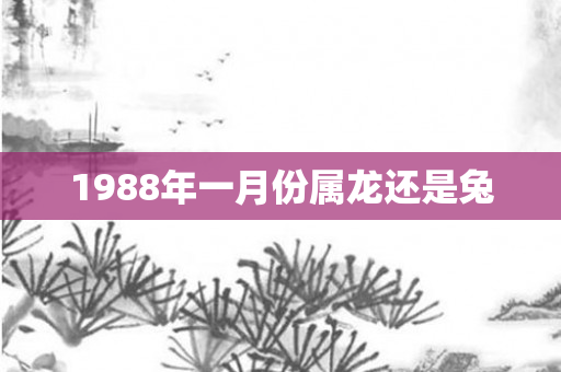 1988年一月份属龙还是兔