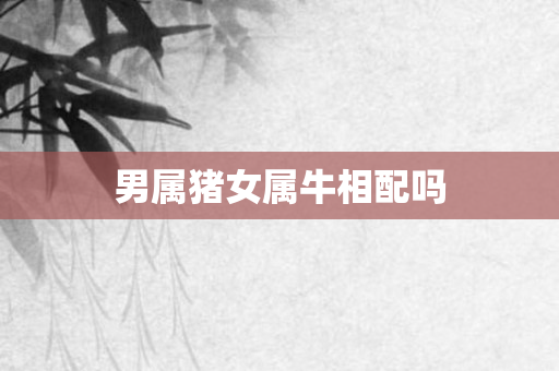 男属猪女属牛相配吗