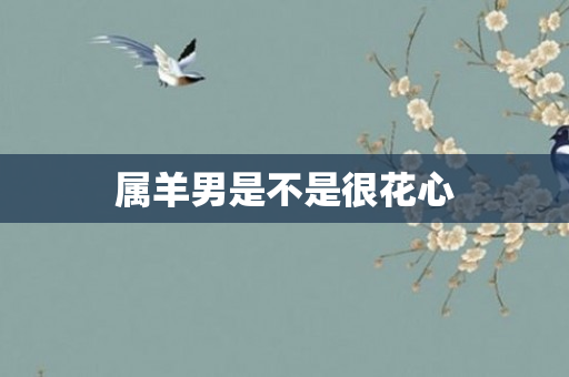 属羊男是不是很花心