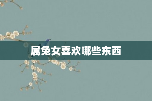 属兔女喜欢哪些东西