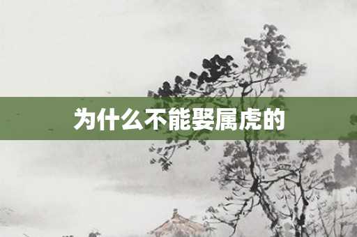 为什么不能娶属虎的