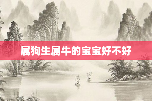 属狗生属牛的宝宝好不好