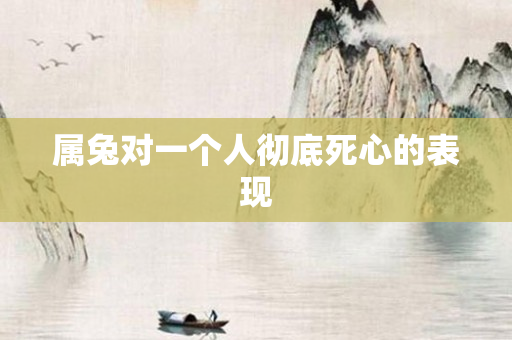 属兔对一个人彻底死心的表现