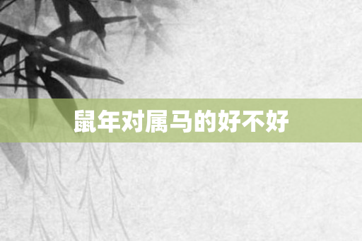 鼠年对属马的好不好