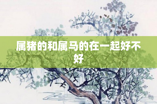 属猪的和属马的在一起好不好