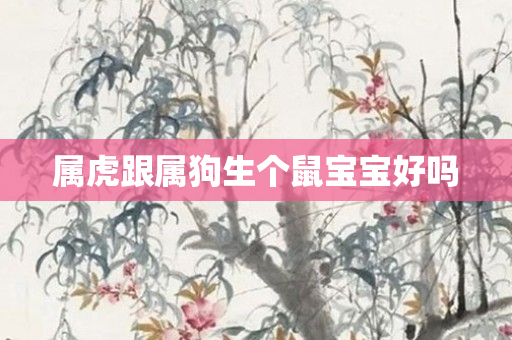 属虎跟属狗生个鼠宝宝好吗