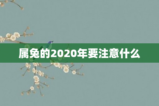 属兔的2020年要注意什么
