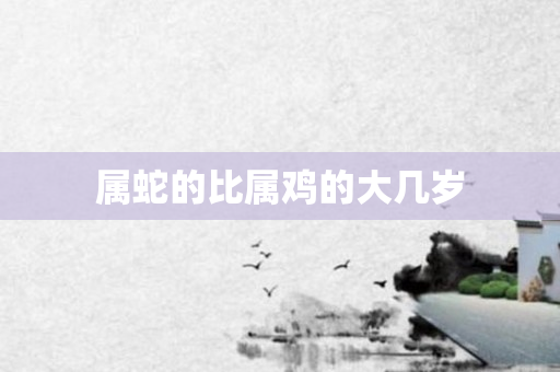属蛇的比属鸡的大几岁