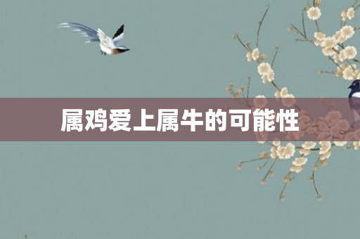 属鸡爱上属牛的可能性