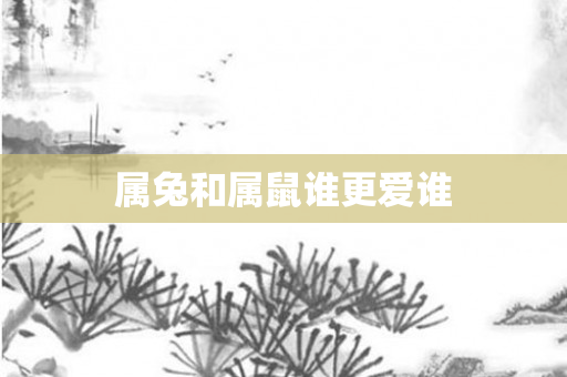属兔和属鼠谁更爱谁