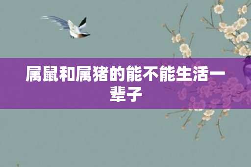 属鼠和属猪的能不能生活一辈子