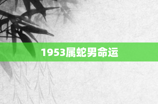1953属蛇男命运