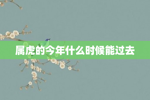 属虎的今年什么时候能过去