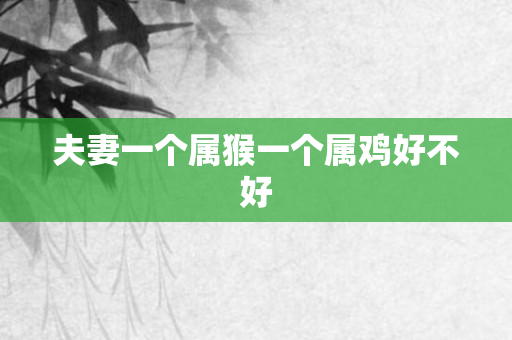 夫妻一个属猴一个属鸡好不好